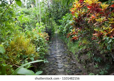 Stone Money Of Yap Island 