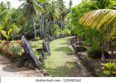 Stone Money Of Yap Island 