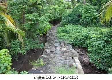 Stone Money Of Yap Island 