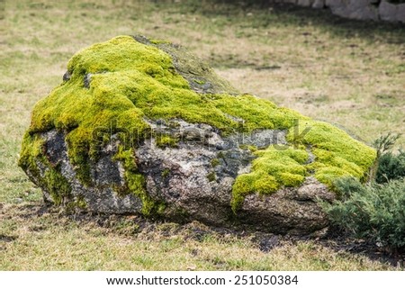 Stone with Moss