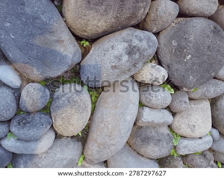 Stone, moss, and quiet strength. Different shapes, different sizes, but they fit perfectly together. Nature’s puzzle is always the most beautiful.