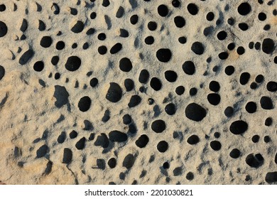 Stone With Natural Holes. Porous Stone Background