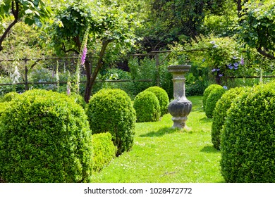 Stone Ornamental Vase On A Grass Path Between Buxus Rounded Topiary Shrubs Leading To A Wooden Arch With Flowering Clematis, In A Cottage Garden In Rural England Countryside .