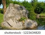 Stone in park 