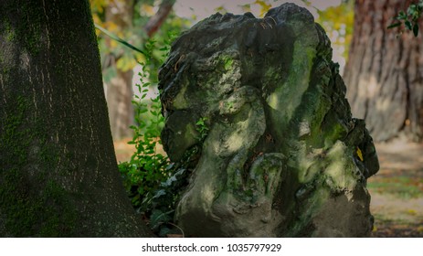 stone in a park