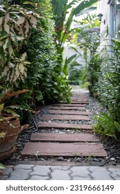 Stone path in the backyard garden with trees along the sides