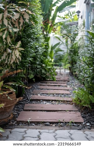 Stone path in the backyard garden with trees along the sides