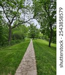 Stone path cutting through two trees and cutting toward the lake
