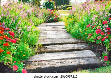 Stone Path In The Flower Garden, Beautiful Shady.