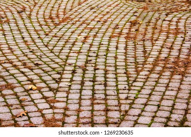 Stone Path In Highland Park Rochester, New York