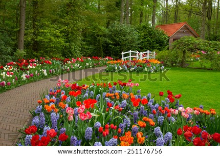 stone path to hut in the spring flower garden Keukenhof, Netherlands