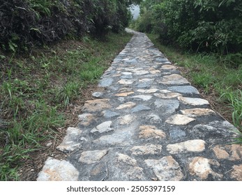 Stone Path into the Future