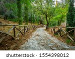 Stone path at Kesariani aesthetic forest on mountain Hymettus (Ymittos), near monastery of Kaisariani