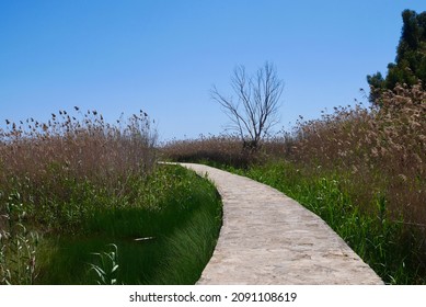 Stone path leading through marsh in Riserva Natural Oasis Faunistica di Vendicari, Province Syracuse, Sicily, Italy.