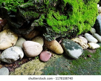 Stone path with moss on the roadside.