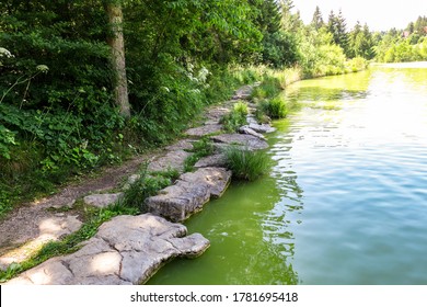 Stone path near Bloke lake, Blosko jezero - Volcje in the summer, Nova Vas, Slovenia - Shutterstock ID 1781695418