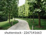 Stone path in the park among trees and bushes