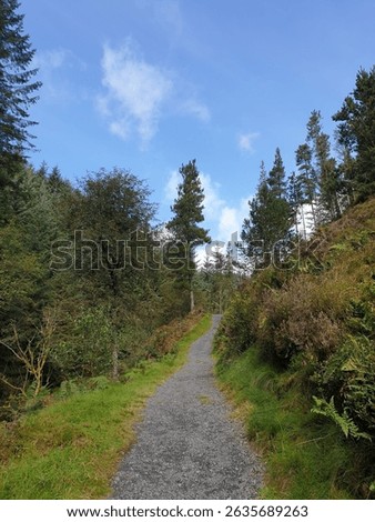 Stone Path right of way to the Source of the River Severn, Powys, Wales UK