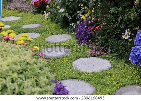 Stone path set among yellow groundcover and vibrant flowering borders March 21 2026