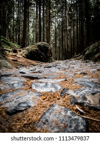 stone path through the forest