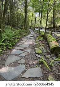 Stone path through forest by a stream in Ricketts Glen, PA