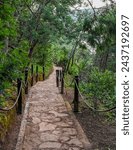 Stone path through lush greenery at Tominé Reservoir, Guatavita, Cundinamarca