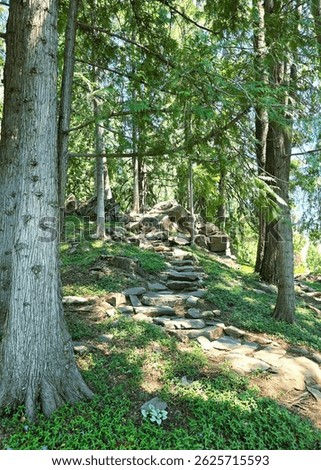 Stone path through the shade in Ohme Gardens Washington state. 