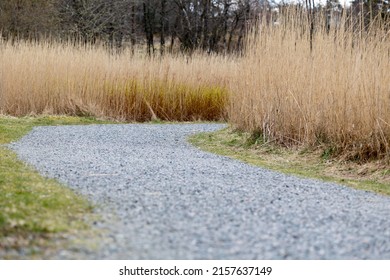 A Stone Path Through Tall Yellow Grass