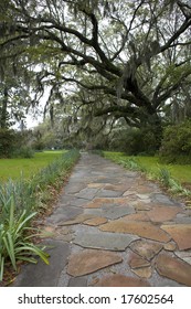 Stone path thru southern landscape