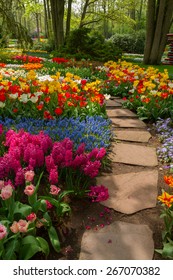 Stone Path Winding In Spring Flower Garden With Blossoming Tulip And Hyacinth Flowers