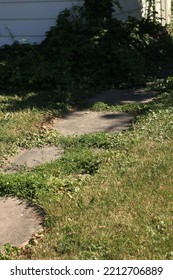 Stone Path Winding Thru The Yard On Its Way To The House.