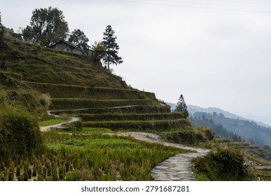Stone path winds through lush green terraces leading to a village on a foggy mountainside, with wooden houses nestled among trees under a soft white sky.