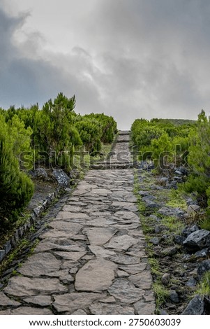 Stone path winds through vibrant greenery beneath a cloudy sky, creating an inviting atmosphere for outdoor activities in a mountainous landscape