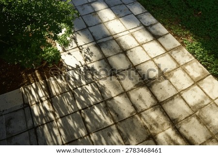 A stone pathway bathed in sunlight, bordered by vibrant green foliage and grass, creating a serene garden scene.