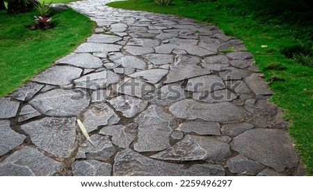 stone pathway in a beautiful garden