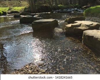 Stone Pathway In A Steady Stream