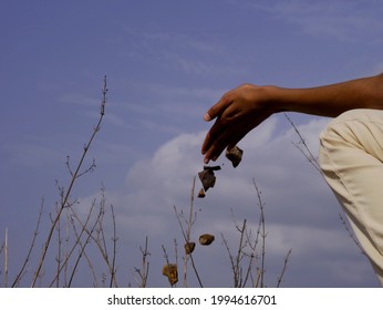 Stone pieces falling down from boy hand on sky background
