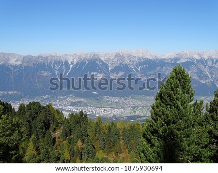                                stone pine trail near Innsbruck below the Patscherkofel hill