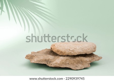 Stone podium for cosmetic product presentation. Abstract minimal backdrop. One rock form, palm leaf shadow, sunlight. Scene to show. Showcase, display case. 3D Front View. Trendy summer green color.