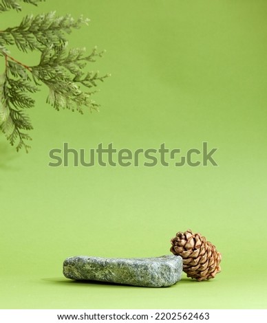 Stone podium with pine tree and cone. Branch, shadow, stone, cone, green background. Display for cosmetic.