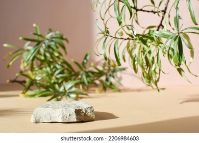 Stone podium for the presentation of eco-products. Natural stone with leaves and natural shadows. - Shutterstock ID 2206984603