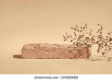 Stone Podium for promotion beige Background  Natural pedestal  Two stone podiums and floral shadow  Beauty product mockup  Scene to show products  Showcase  display case  Front View