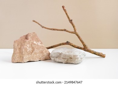 Stone Podium for promotion beige Background  Natural pedestal  Two stone podiums and tree branch  Beauty product mockup  Scene to show products  Showcase  display case  Front View  soft shadow 