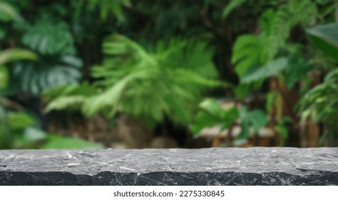 Stone podium table top floor on outdoors blur monstera tropical forest plant nature background.Organic healthy natural product placement pedestal display,spring or summer jungle concept.