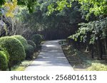 A stone road in the shadow of overhanging jungle trees and plants at the Bai Dinh Cultural Complex