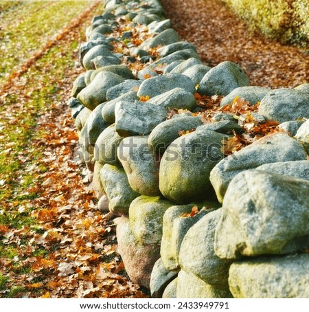 Stone, rock and leaf on earth with grass for autumn, nature and countryside outside in environment. Turf, ground and boulder in forest, park or wood with moss for landscape, ecology or flora