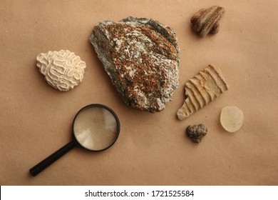 Stone samples and loop flat lay at geological laboratory. Geology rock laboratory. Laboratory for analysis of geological soil materials, stones, minerals, rocks samples for researchers and students.