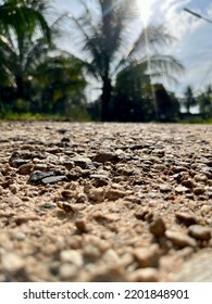 Stone And Sand Road The Faded Background Of The Coconut Tree. The Texture. The Backdrop. The Light Of The Sun.