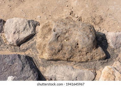 Stone With Sea Fossil At Ancient Indus Valley Civilization Or Harappan Civilisation Ruins At Dholavira, Khadir Island, Kutch, India 