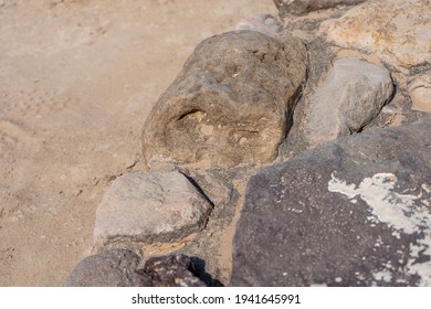 Stone With Sea Fossil At Ancient Indus Valley Civilization Or Harappan Civilisation Ruins At Dholavira, Khadir Island, Kutch, India 